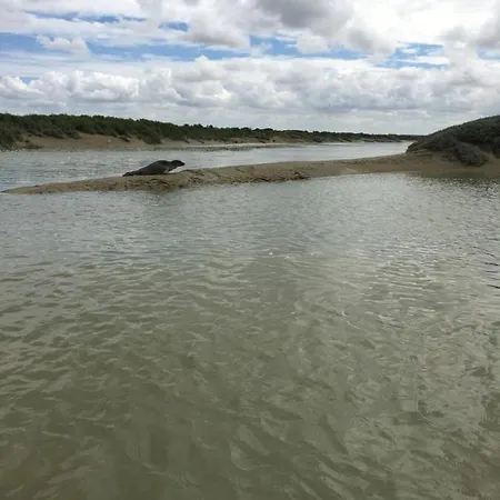 Baie De Somme Sur